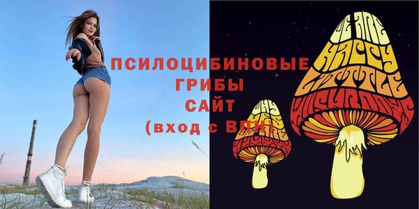 ALPHA-PVP Баксан